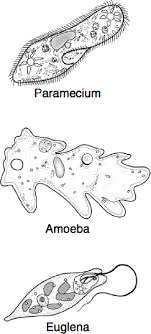 Whoops An Error Has Occurred Middle School Life Art Pictures Art Design