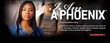 Marketing To Women Online I Want To Be A Phoenix