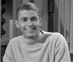 My Three Sons" Bub's Lodge (TV Episode 1961)