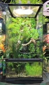 Zoo Med Paludarium System Building A Home For Aquatic Semi Aquatic And Arboreal Species Coast To Coast Exotics