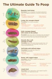 poop chart: is your poop healthy? see