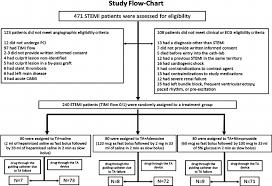 Randomization Flow Chart Download Scientific Diagram