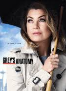 Grey S Anatomy Die Jungen Arzte Staffel 2 Hd Filme Serien Online Sehen