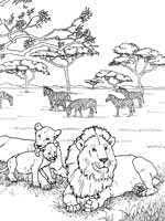 Epingle Sur Libro Paisajes Y Animales