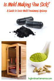 The liver is your main detox organ. How To Detox Your Body From Mold What I Did Hybrid Rasta Mama