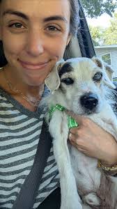 REUNITED! Chopper was LOST