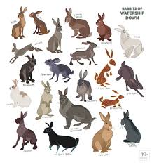Ritwell Di Twitter Took Me Almost 6 Hours But Here Are My 2d Renditions Of Some Watershipdown Characters Watership Down Animal Drawings Rabbit Art