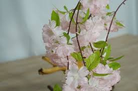 Please feel free to contact us for any questions or suggestions. Wholesale Floral Supplies New Design Indoor Outdoor Silk Flowers Decoration Artificial Pink Cherry Blossom Branches For Sale China Artificial Flower And Decorative Flower Price Made In China Com