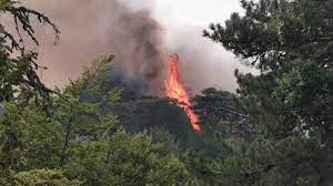 In calabria è ancora emergenza incendi: Gj8tkp8dbv Mvm