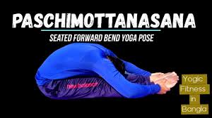 Yogic Fitness Paschimottanasana In Bengali Seated Forward Bend Yoga Pose Steps Benefits Youtube