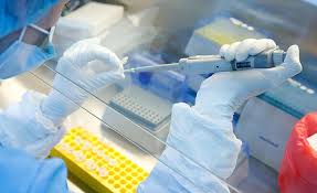Temelde hava ısıtmalı ve blok ısıtmalı olmak üzere iki çeşit pcr makinası vardır. Pcr Testi Nedir Nasil Yapilir