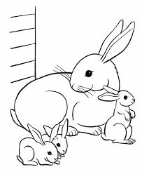 All rights belong to their respective owners. Cute Baby Animal Coloring Pages Dragoart Cute Animal Coloring Coloring Home