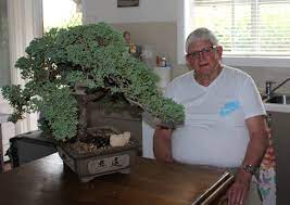 The ancient horticultural practice originated in china, where it was. Weston Man Overjoyed At The Return Of His Beloved Stolen Bonsai Tree The Advertiser Cessnock Cessnock Nsw