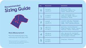For collars to fit 'newborn' puppies as a guide i would recommend. Halti Headcollar Company Of Animals Uk