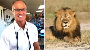 Image result for cecil lion