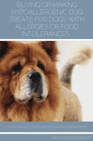 hypoallergenic dog treats for dogs