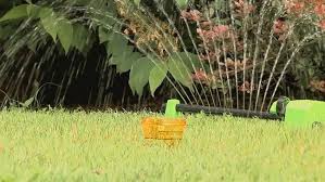 The best way to beat the heat is by watering. Hot Weather Watering Tips Katu