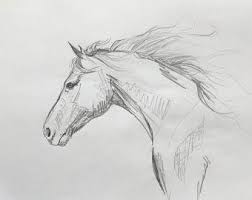 Original Hand Drawn Mustang Horse Drawing Equine Art Graphite Drawing Wall Art Or Unique Horse Lover Gift Scandi Country Style Decor Horse Drawings Art Horse Art Drawing