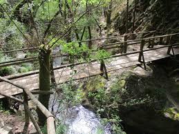.que continuam a movimentar os tradicionais moinhos, e junto de si escondem e salvaguardam algumas espécies florestais autóctones, criando nalguns pontos cascatas, pequenas cachoeiras e. Caminhando Na Mata Do Bussaco E Quedas D Agua Caminhando