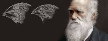 Charles Darwin