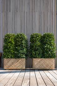 International Supplier In Planters Pottery Pots