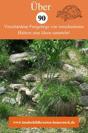 Verschiedene Freigehege Schildkrotengehege Freigehege Gehege