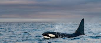 Candidlycam onlyfans leak XXX every day, so you always will