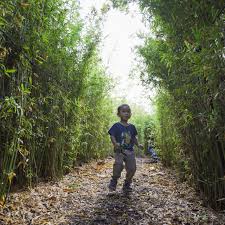 With the tallest outdoor play feature in singpore, an outdoor classroom by the sea, a nature playgarden, and a water play area. Uszmg1xghyhspm