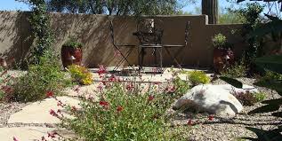 See more of arizona landscaping solutions, llc on facebook. Colorful Desert Courtyard Landscaping Network