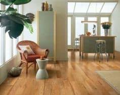 Check spelling or type a new query. Oil Vs Water Based Polyurethane Which Is Better For Refinishing Wood