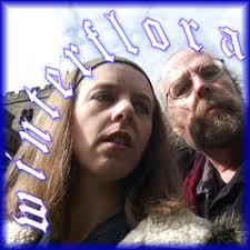 Stream The Gower Wassail : 1-12-11 by Winterflora 2011