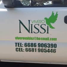 Vivero Nissi Home Facebook
