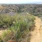 Annual Acorn Harvest Volunteer Event event in Calimesa, CA