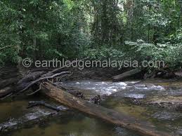 Hutan seluas 160,000 hektar ini kaya dengan berbagai khazanah semulajadi yang masih terpelihara. Earth Lodge Ulu Muda Reviews Kedah Malaysia Tripadvisor