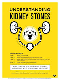 Medical humor nurse humor kidney stones funny kidney stone humor dialysis humor prostate cancer treatment kidney donor doctor humor human body systems. Kidney Stone Memes