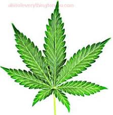 maconha tatuagem maconha tatuagem