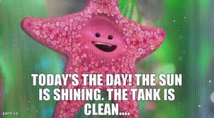 Learn the definition of 'the sun is shining'. Yarn Today S The Day The Sun Is Shining The Tank Is Clean Finding Nemo Video Gifs By Quotes E83a62ef ç´—