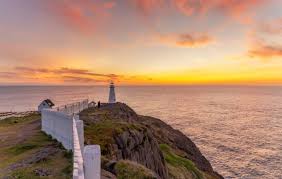 1) $100 amazon.ca gift card + 10% cash back for 3 months if you prefer cash back rewards, then you'll love the scotiabank momentum visa infinite. Agents Earn 100 Gift Cards When Booking Canadian Escapes With Globus Cosmos Travelweek