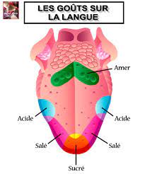 Fréquents goût métallique dans la bouche. Le Gout Chez Le Porteur De Dentier