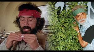 Perennially stoned cheech and chong tear through the city of los angeles, causing trouble wherever they go. Cheech Chong Star Behandelt Krebs Mit Hanfol