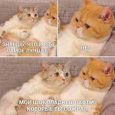Резултат с изображение за „шутки“