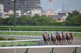 We did not find results for: å‡ºéŠçš„ç§‹å¤©æ˜¯è³½é¦¬çš„ç§‹å¤© é˜ªç¥žè³½é¦¬å ´çš„æŽ¨è–¦ç¾Žé£Ÿ9é¸ Seeingjapan