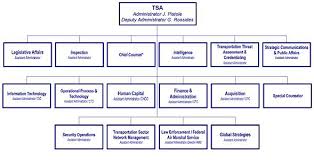 Tsa Organizational Structure Related Keywords Suggestions