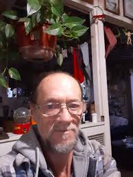 Cats, Coffee & Chaos