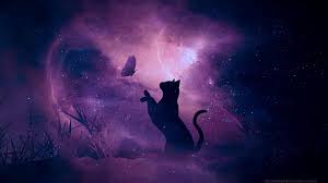 Fantasy Animals Black Cat Art Desktop Wallpaper Black Black Cat