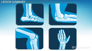That's a powerful set of skills for any leader to develop. Hinge Joints In The Body Definition Movement Examples Science Class Video Study Com