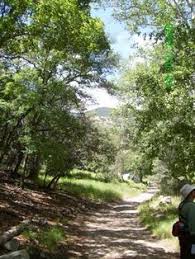 sierra vista pinterest