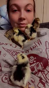 Oreo helping out with some math equations😂🐥❤️🥰