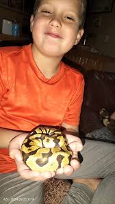 Is Frontline safe for small MBK snakes?