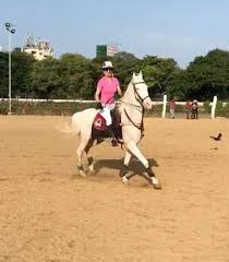 Watch Kangna Ranaut Takes Horse Riding Lessons For Manikarnika The Queen Of Jhansi Bollywood Hungama Approximately 4.6 million americans work in the horse industry in one way or another.